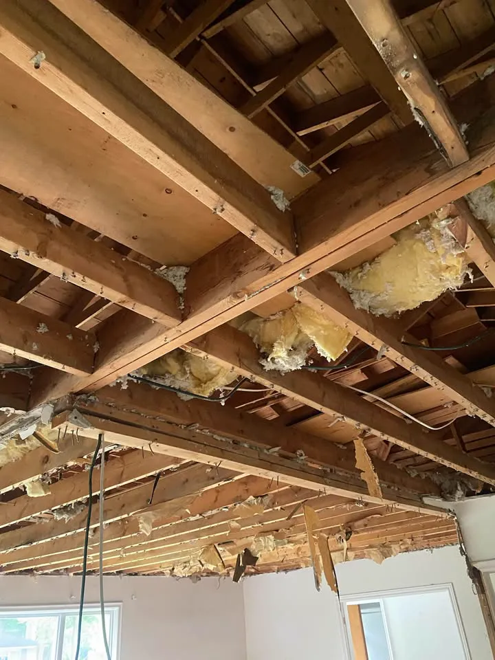 Ceiling opened to the joists with insulation pulled out