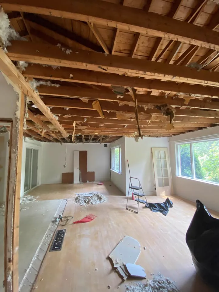 Two-storey framing exposed after the ceiling and walls were taken out